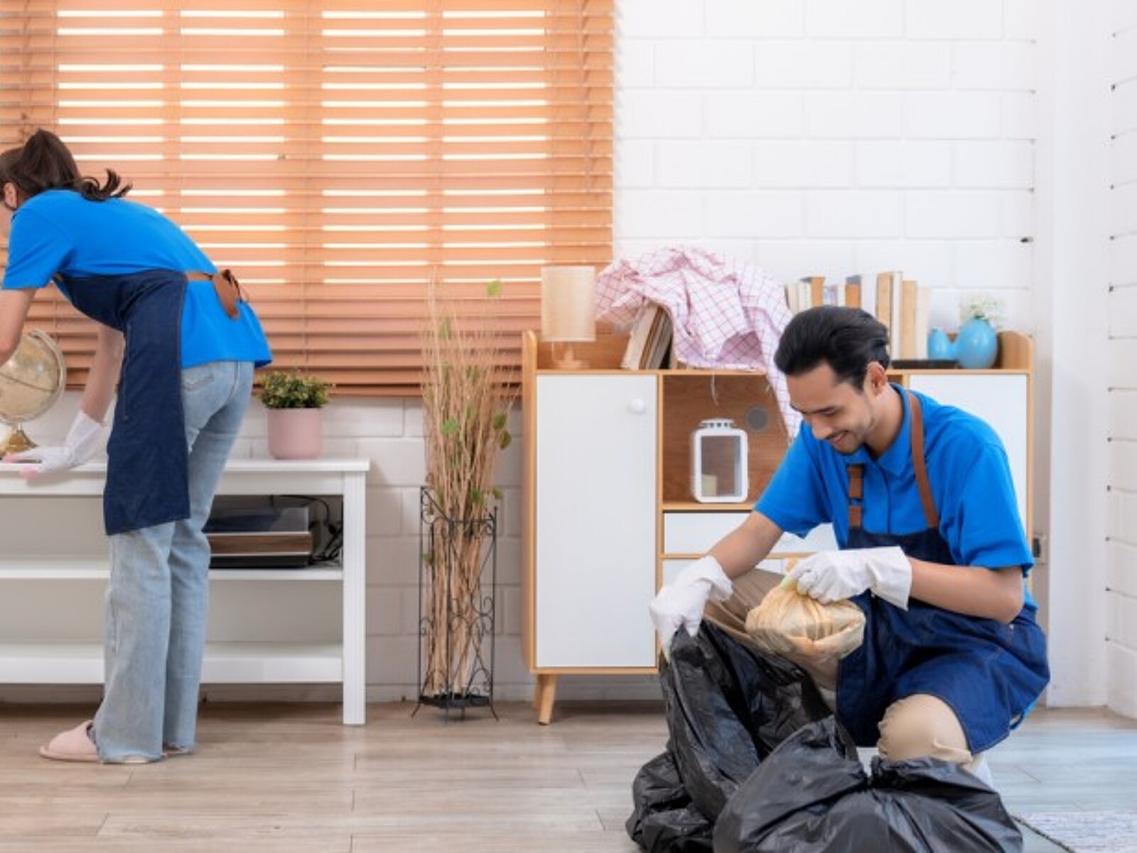 Regular Domestic Cleaning